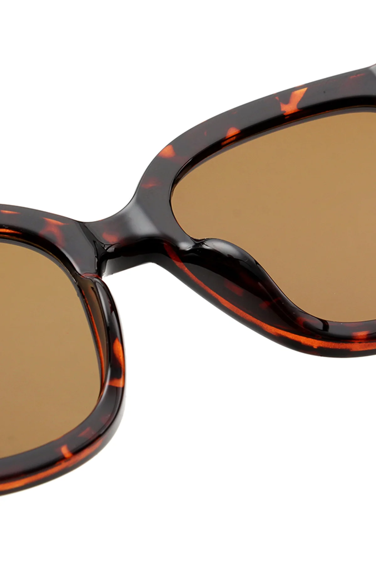 Billy Sunglasses Demi Tortoise - Image 5