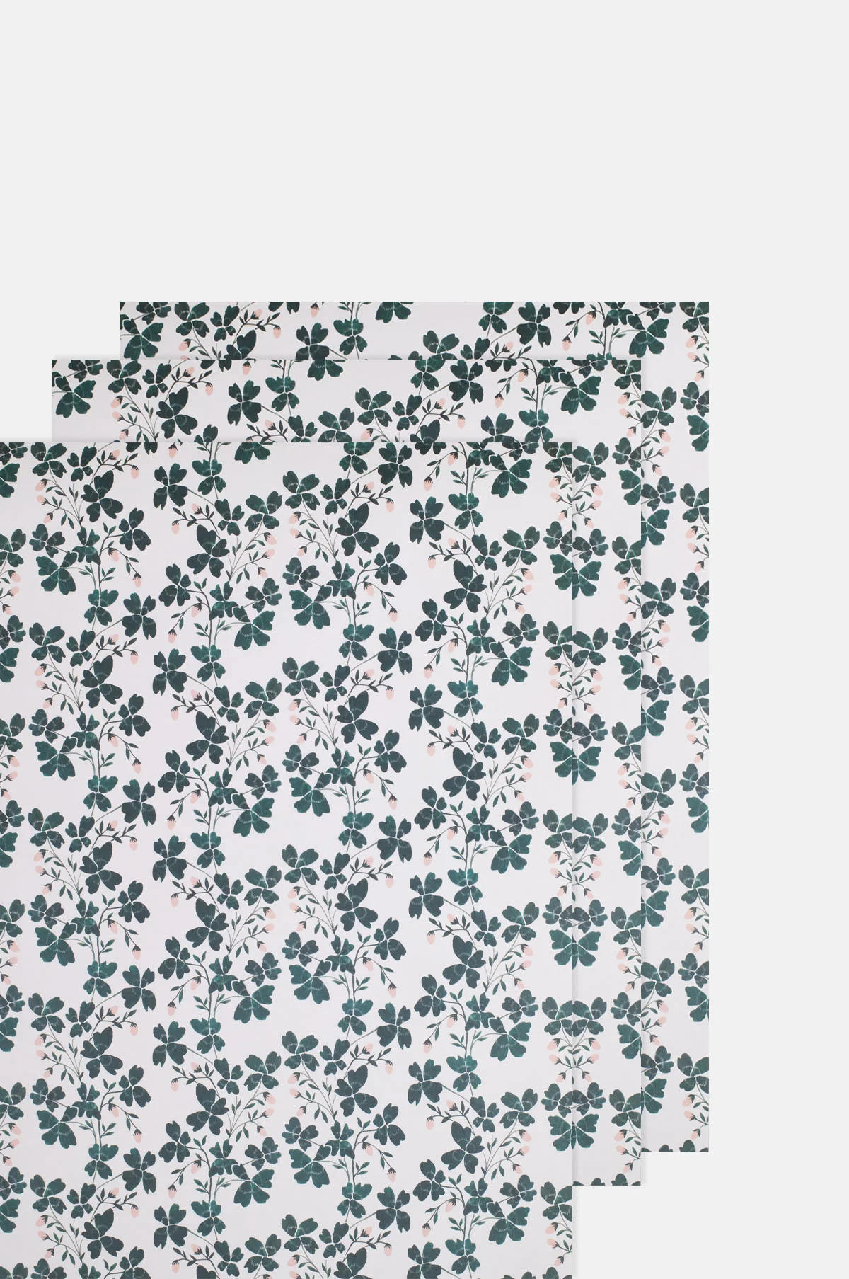 Botanical Wrapping Paper Set of 3 Sheets