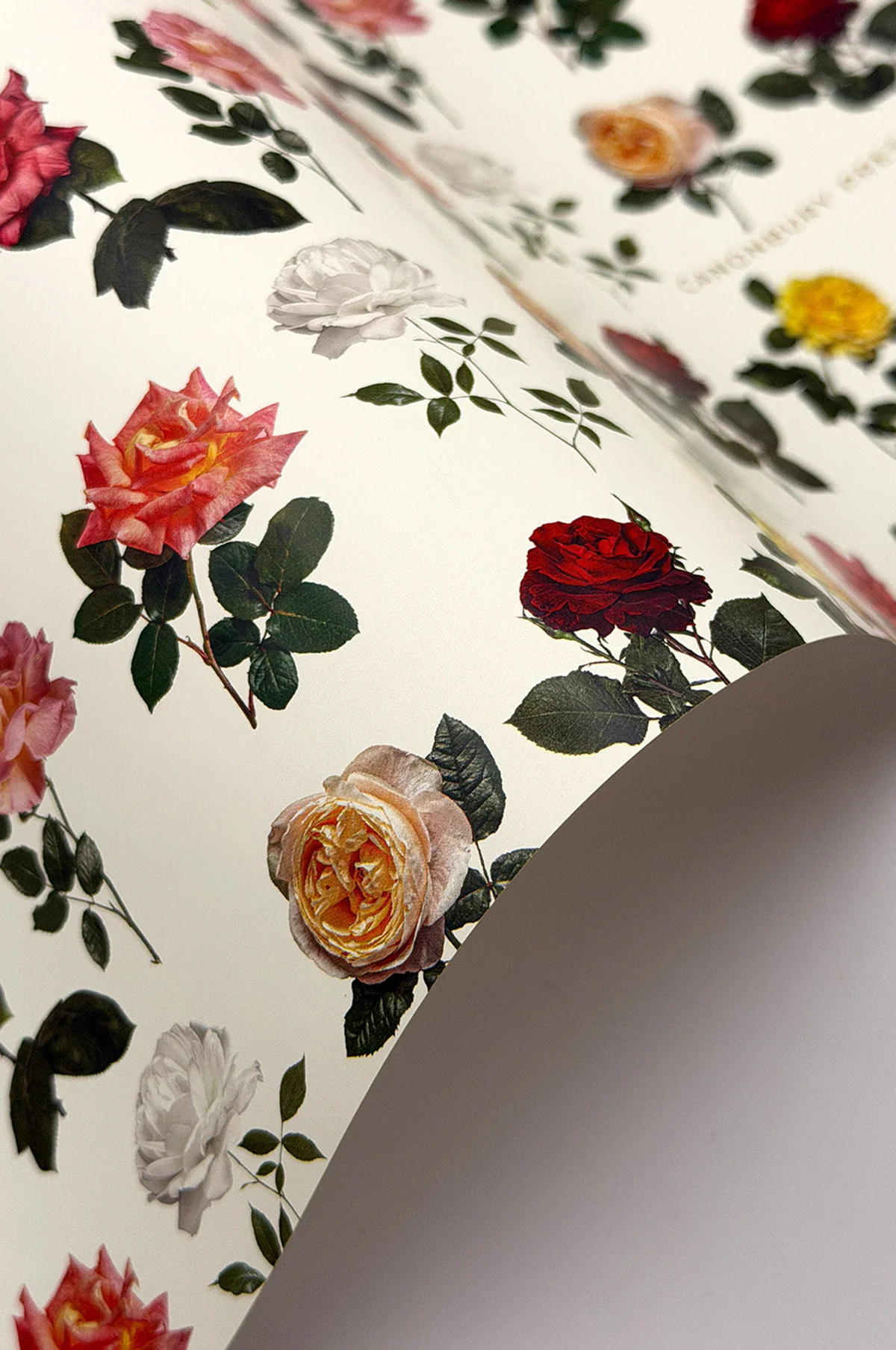 English Garden Roses Wrapping Paper Set of 3 Sheets - Image 4