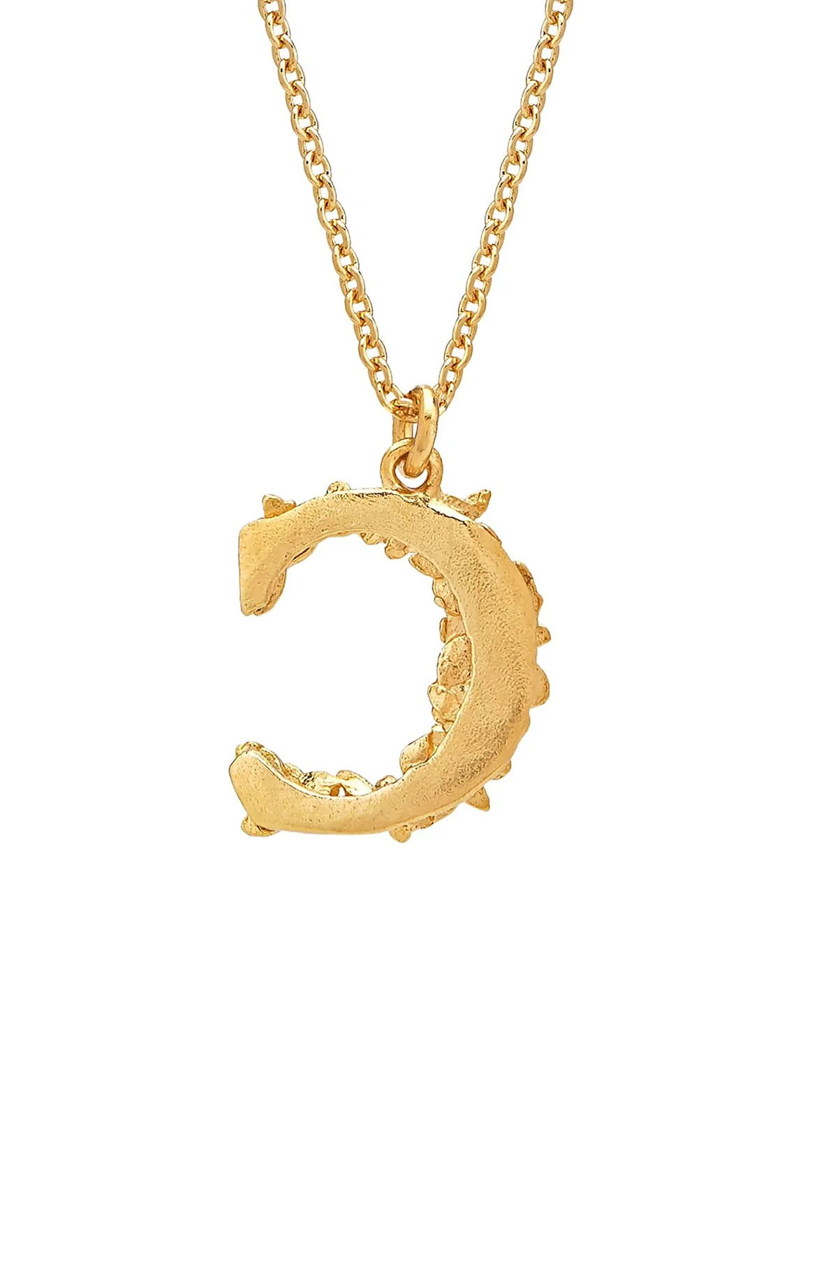 Floral Letter C Necklace Gold Plate - Image 4