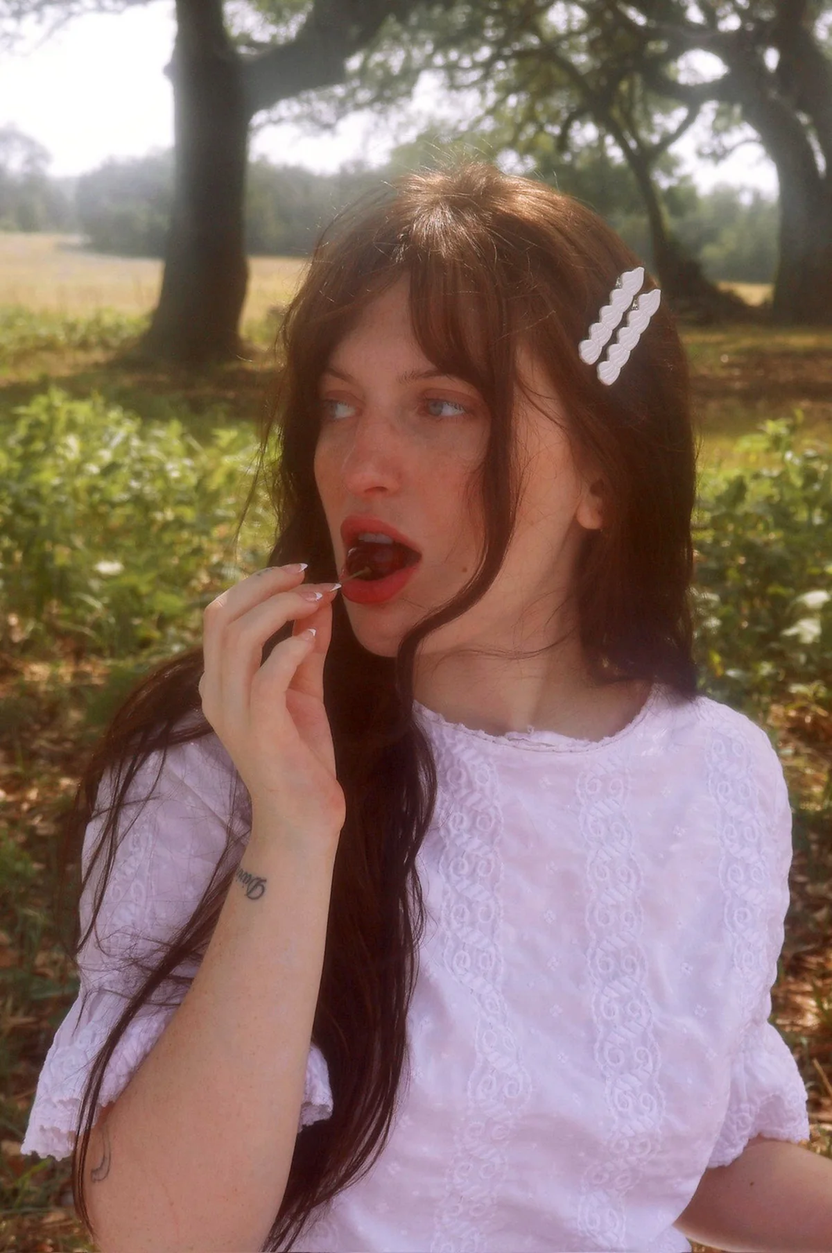 Frosting Clip Set - Image 3