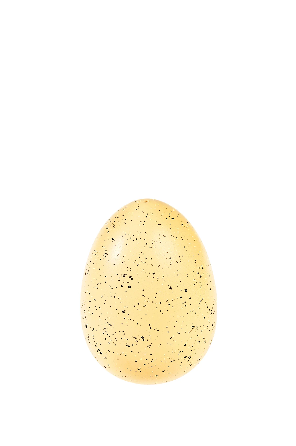 Giant Hatching Dinosaur Egg - Image 3
