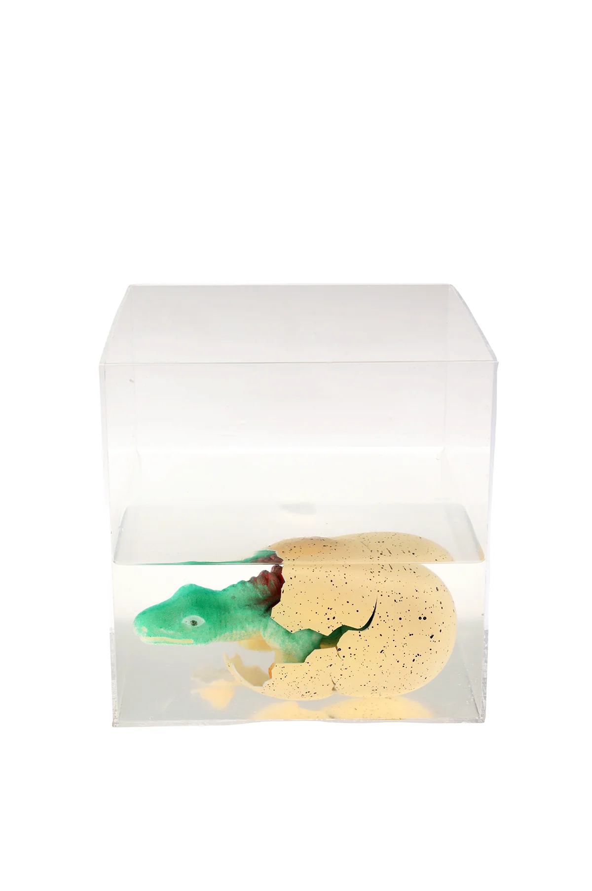 Giant Hatching Dinosaur Egg - Image 5
