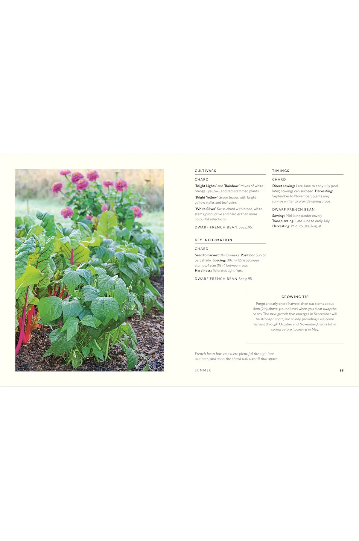 Grow Together: 50 Planting Partnerships - Image 3