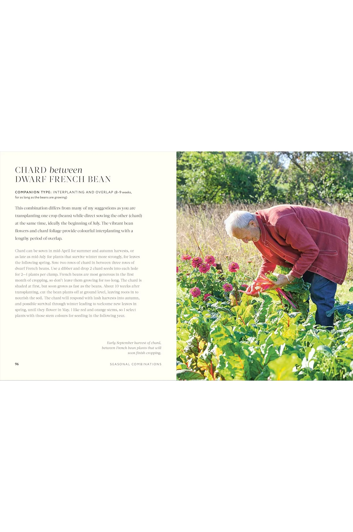 Grow Together: 50 Planting Partnerships - Image 4