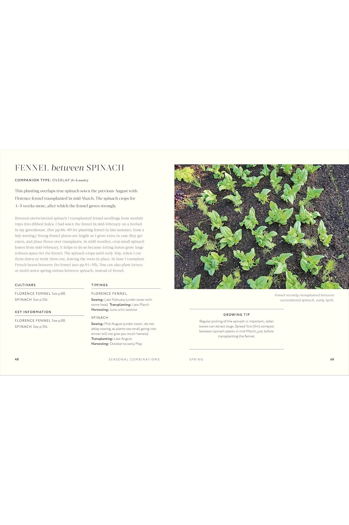 Grow Together: 50 Planting Partnerships - Image 5
