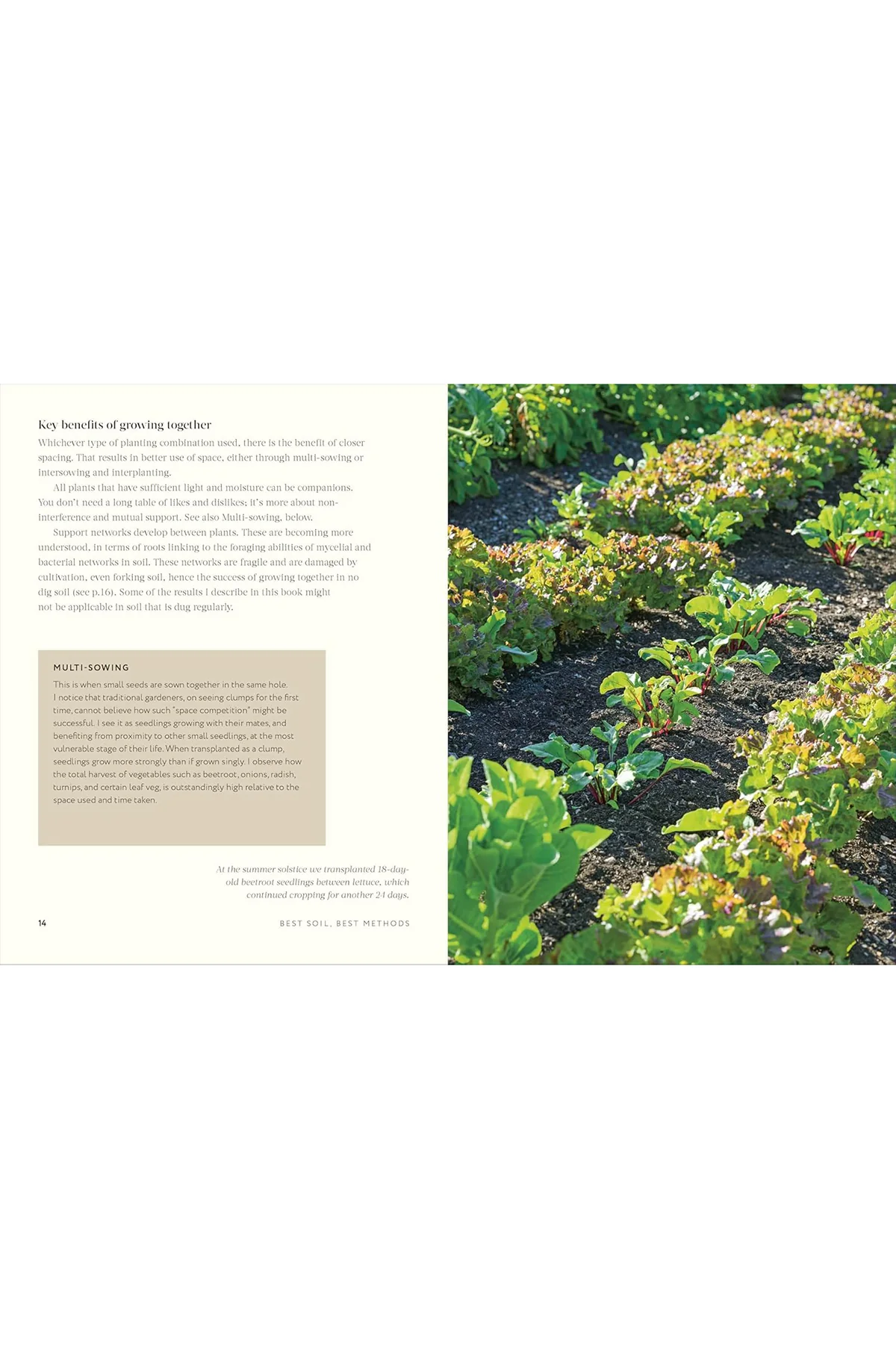 Grow Together: 50 Planting Partnerships - Image 6