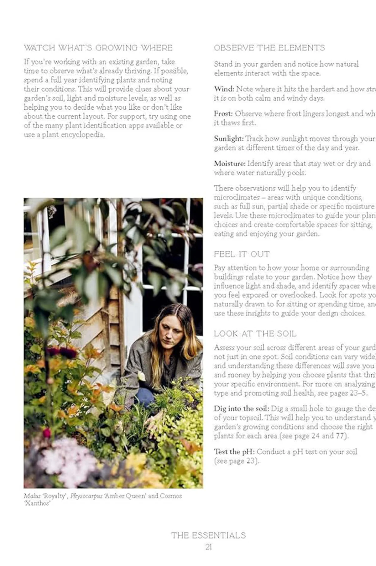 How Does Your Garden Grow? - Image 6