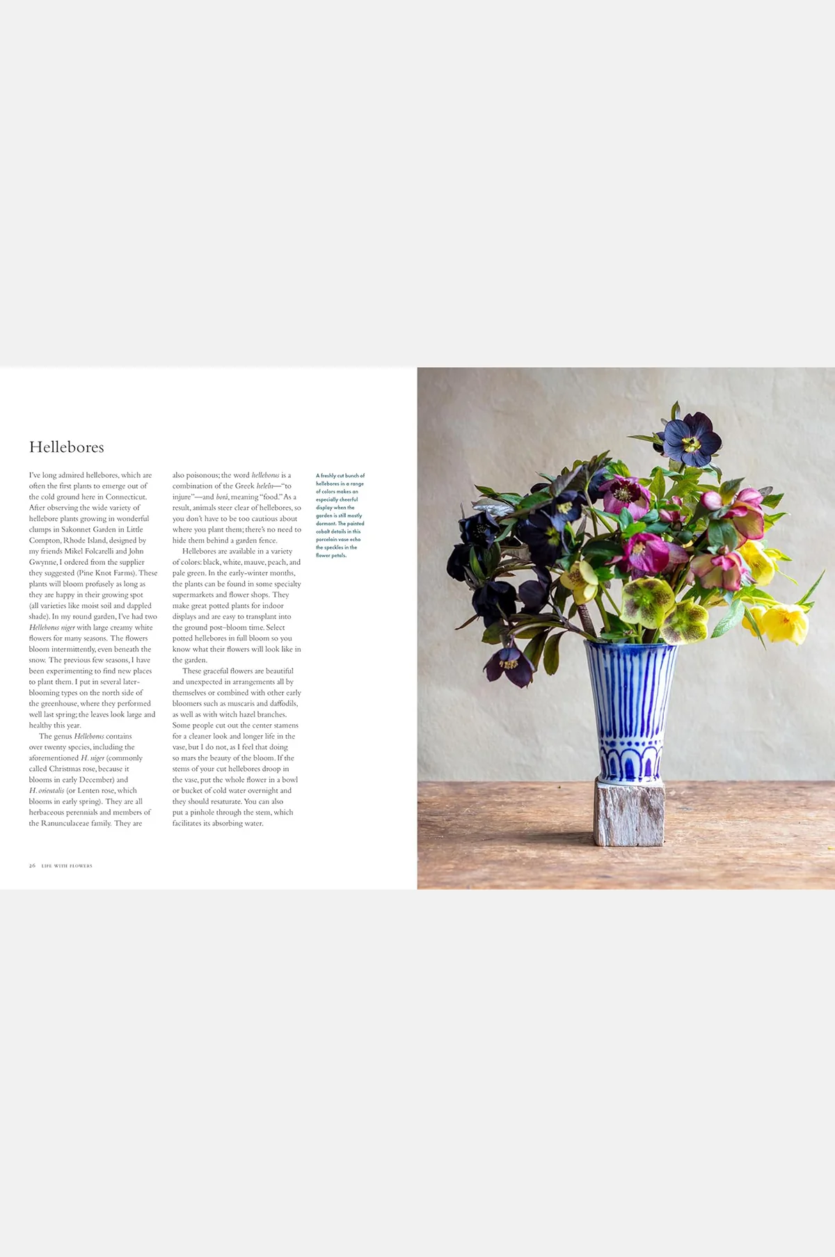 Life With Flowers - Image 5