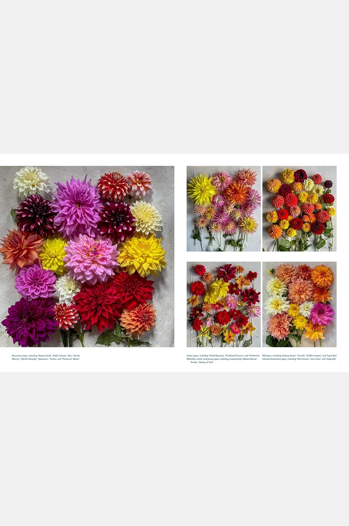 Life With Flowers - Image 8