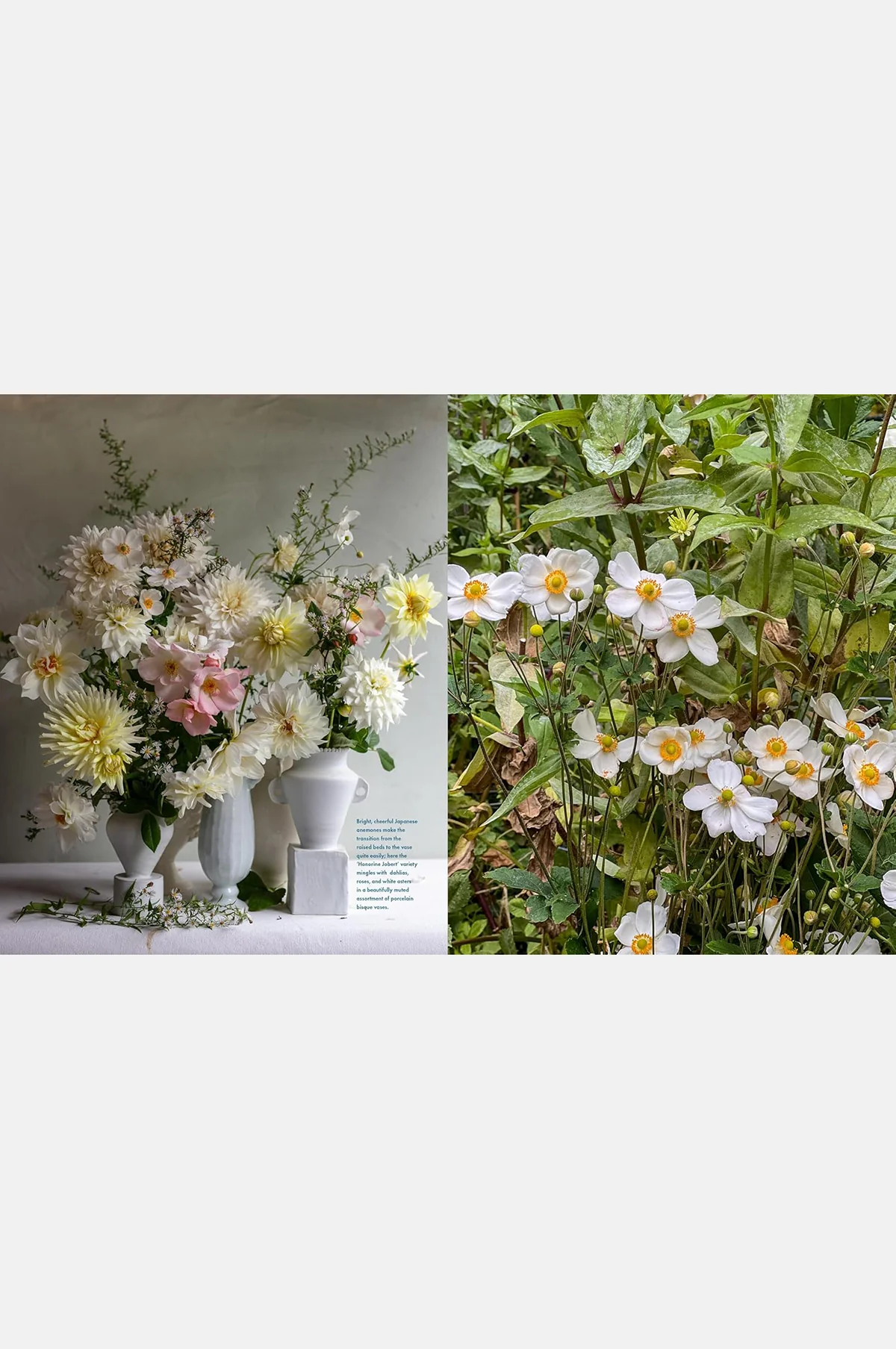 Life With Flowers - Image 9