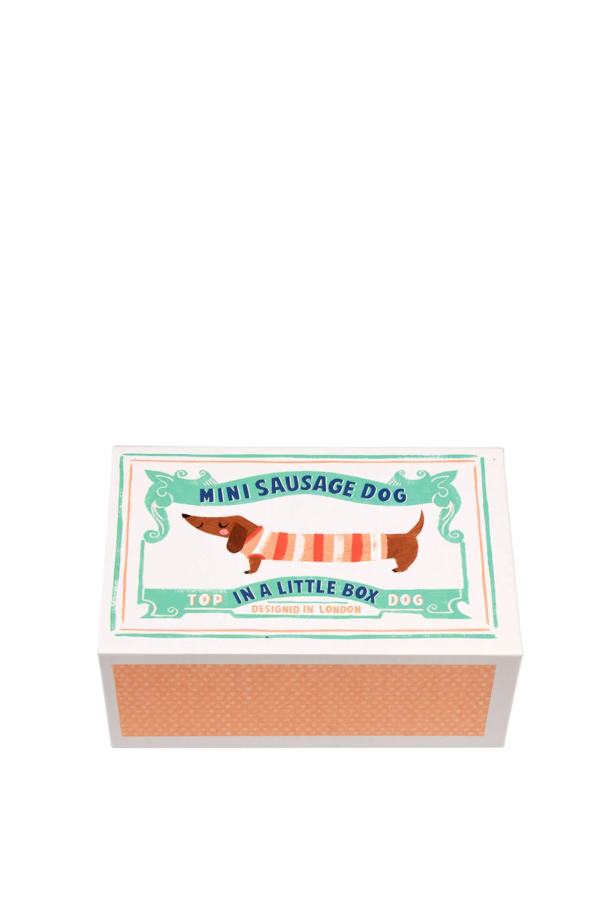 Mini Sausage Dog In A Little Box - Image 4