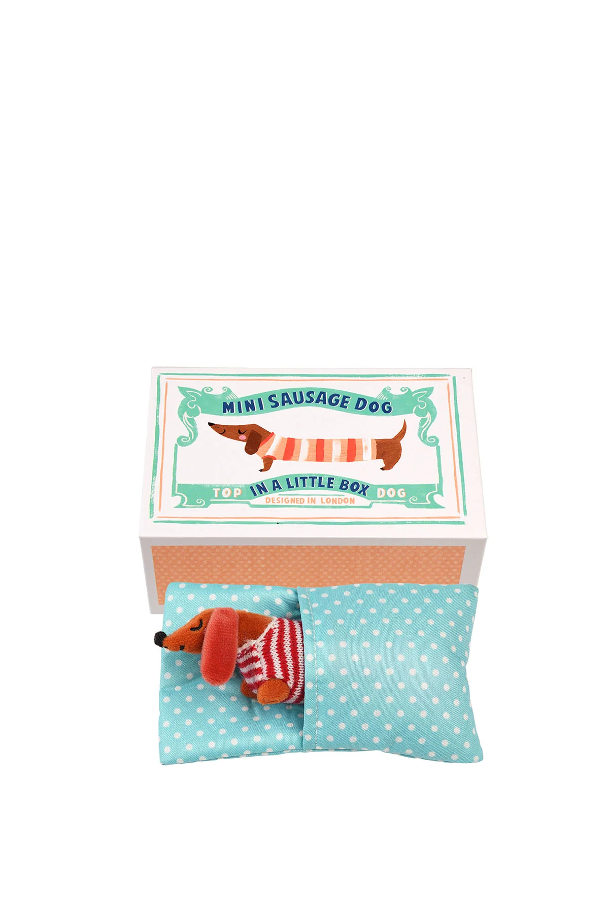 Mini Sausage Dog In A Little Box - Image 6