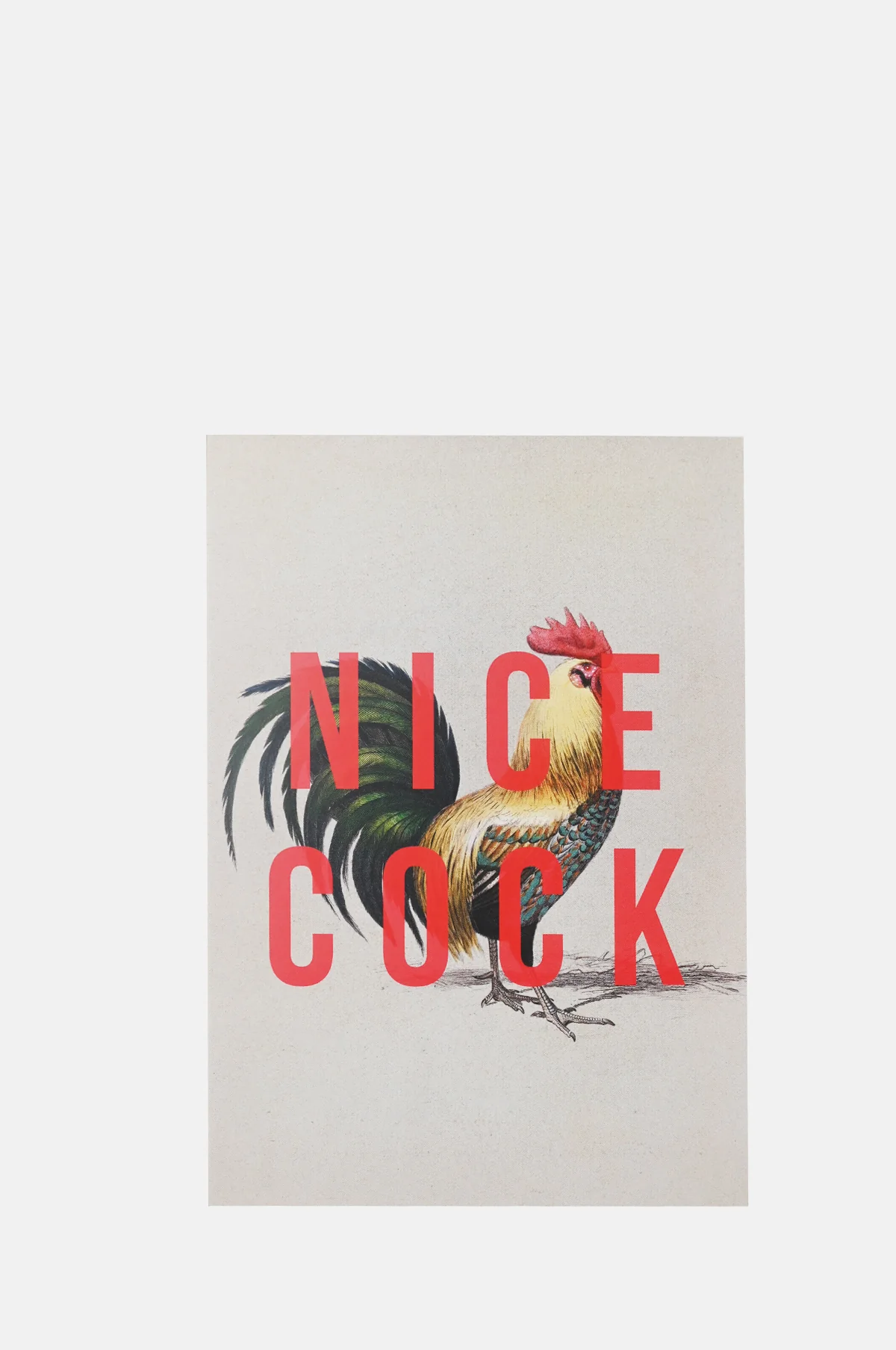 Nice Cock Card