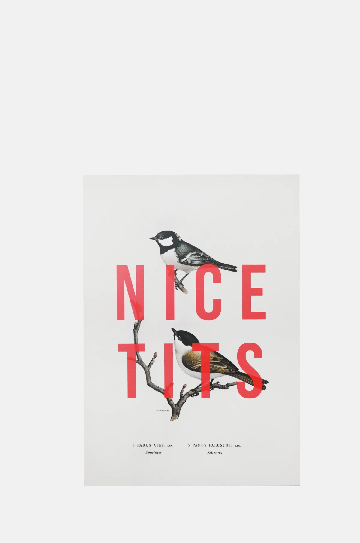 Nice Tits Card