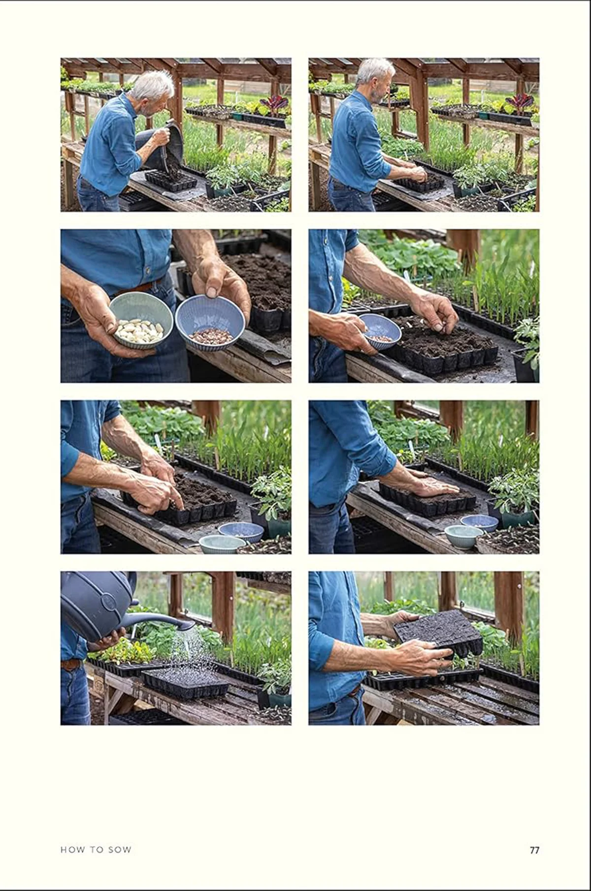 No Dig - Image 4