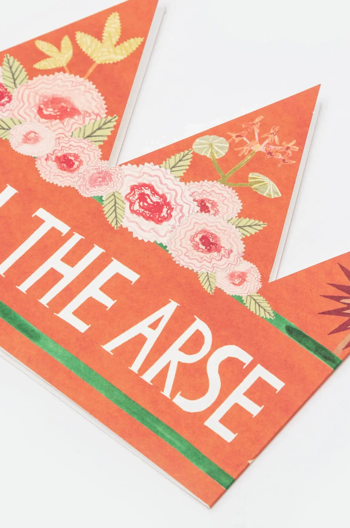 Pain In The Arse Party Hat - Image 2
