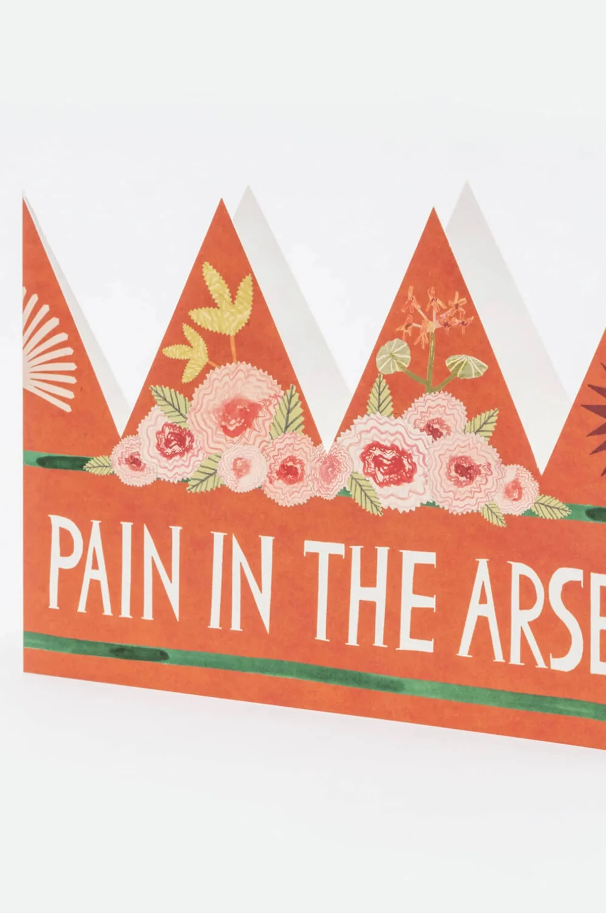 Pain In The Arse Party Hat - Image 4