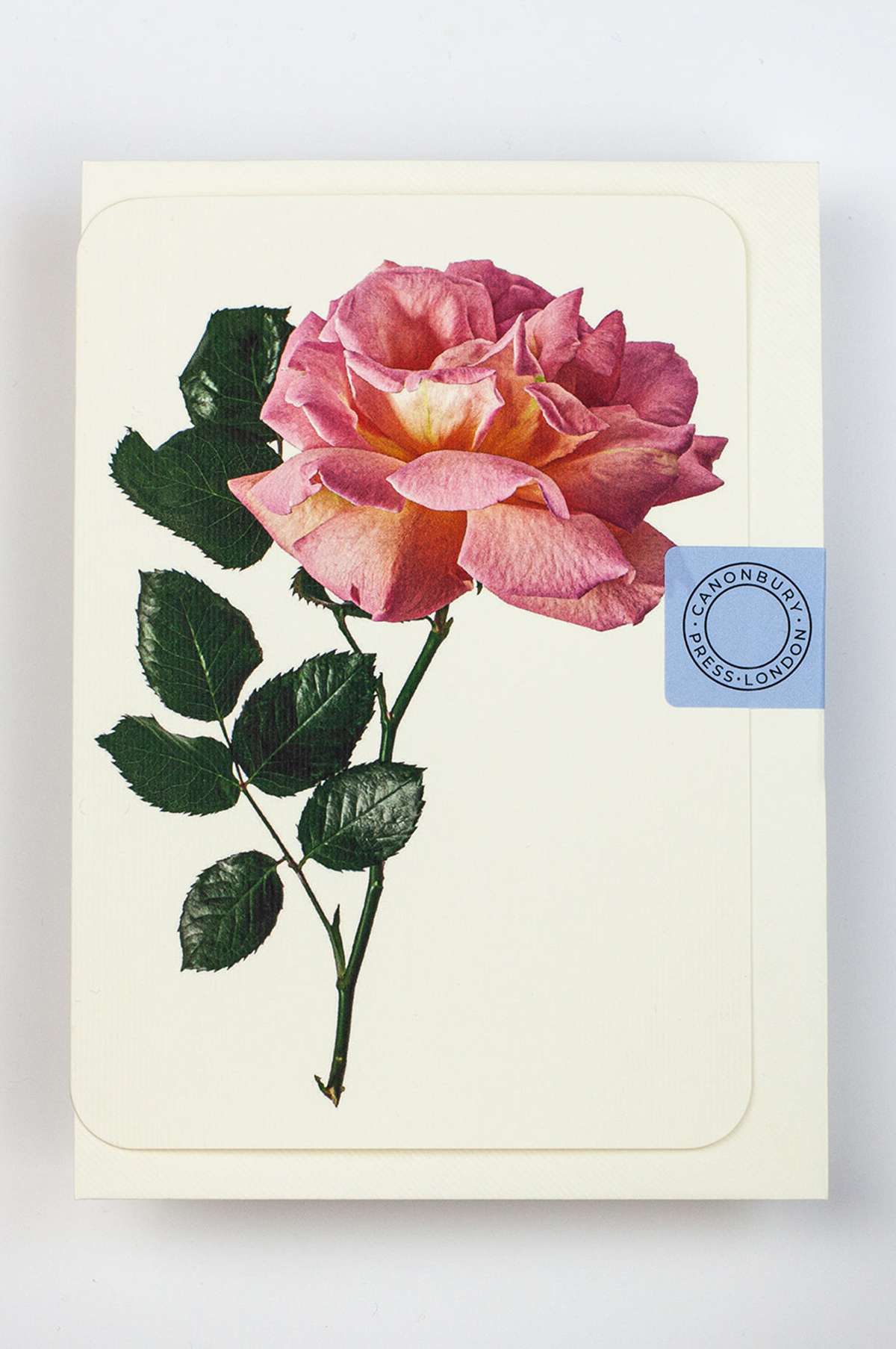 Pink Rose Notecard - Image 4