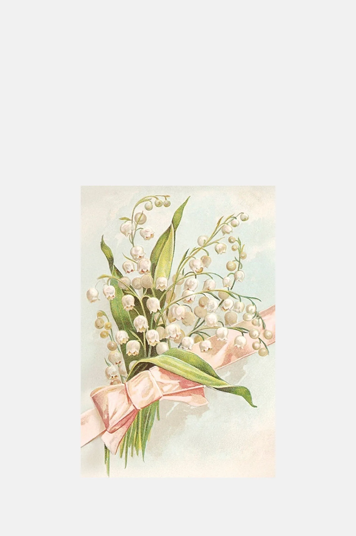 Lily of the Valley Postcard