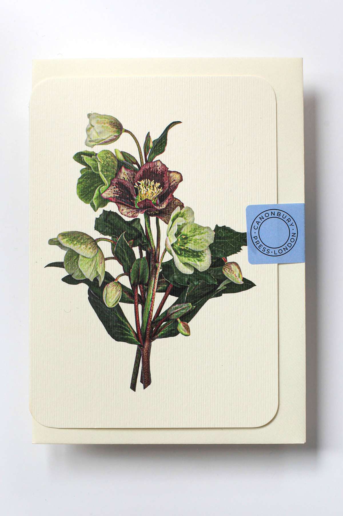 Posy of Hellebore Notecard - Image 4