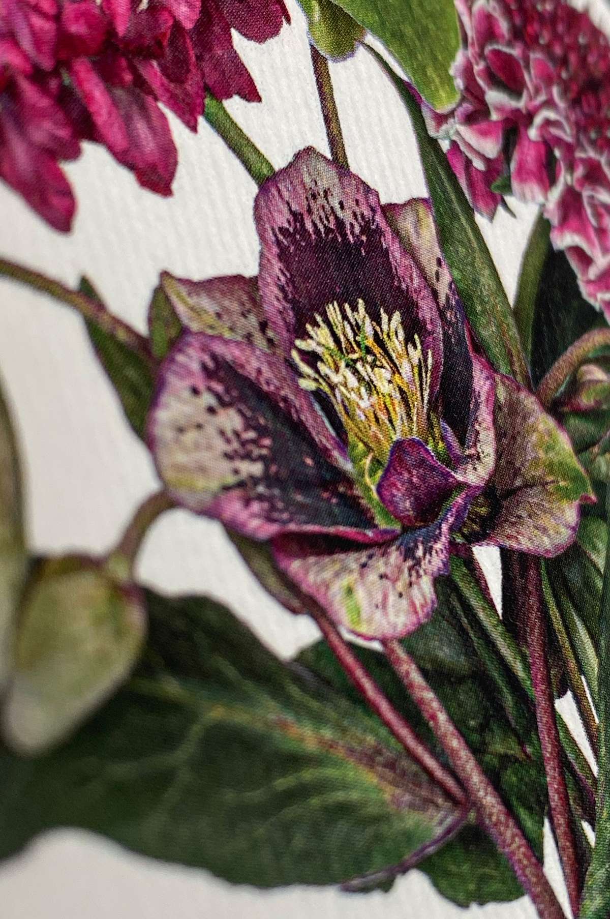Posy of Hellebore & Scabiosa Notecard - Image 2