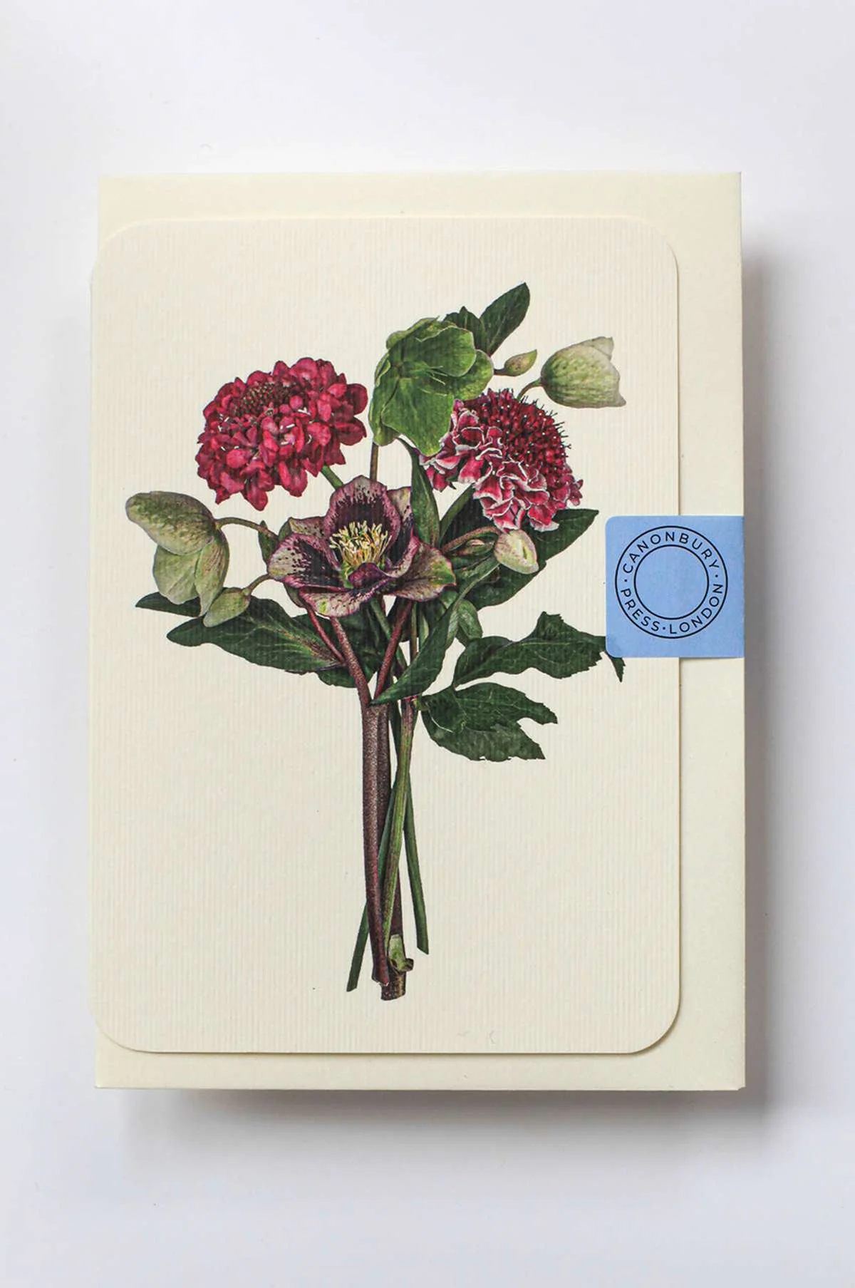 Posy of Hellebore & Scabiosa Notecard - Image 4