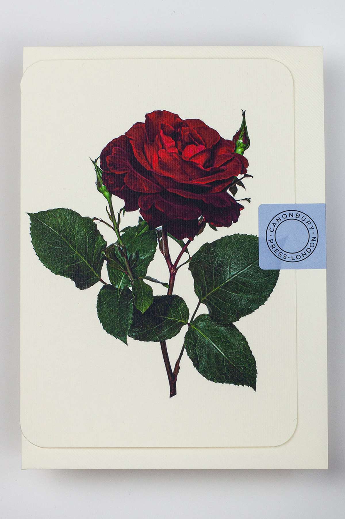 Red Rose Notecard - Image 3