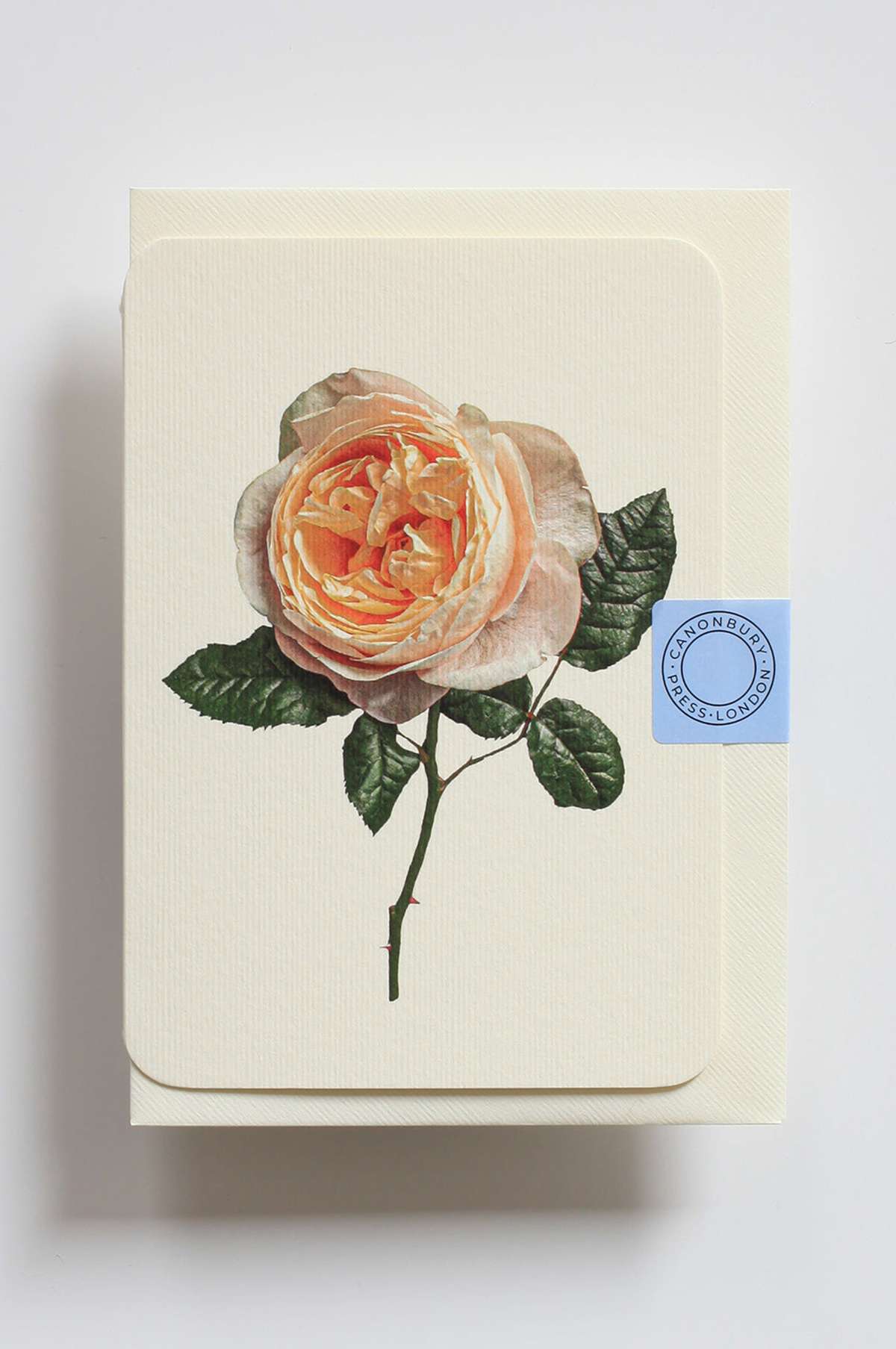 Soft Peach Rose Notecard - Image 3
