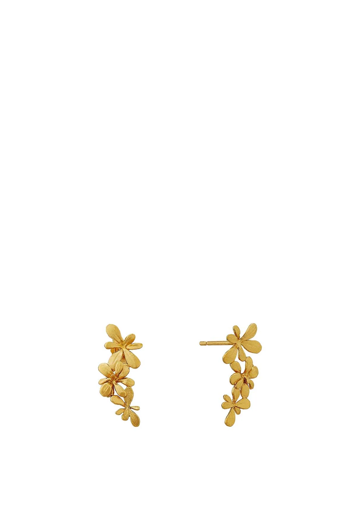 Sprouting Rosette Drop Earrings Gold - Image 4