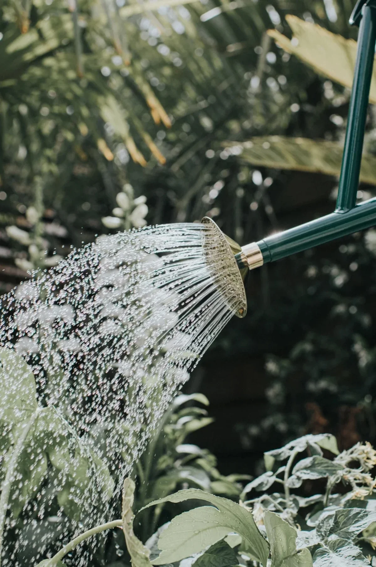 The Bearwood Brook Watering Can Green - Image 3