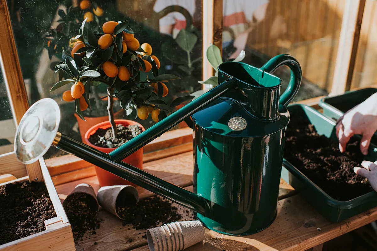 The Bearwood Brook Watering Can Green - Image 4