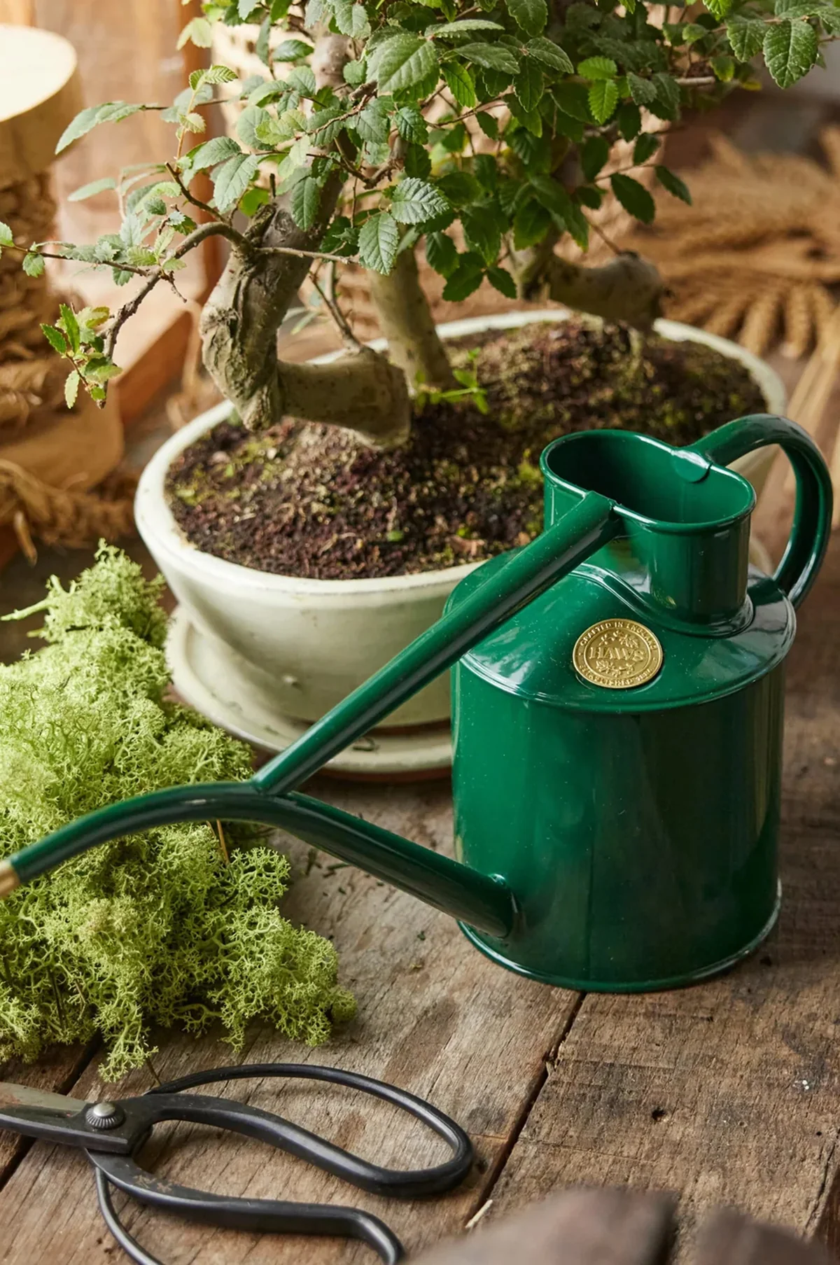 The Rowley Ripple Watering Can Green - Image 3