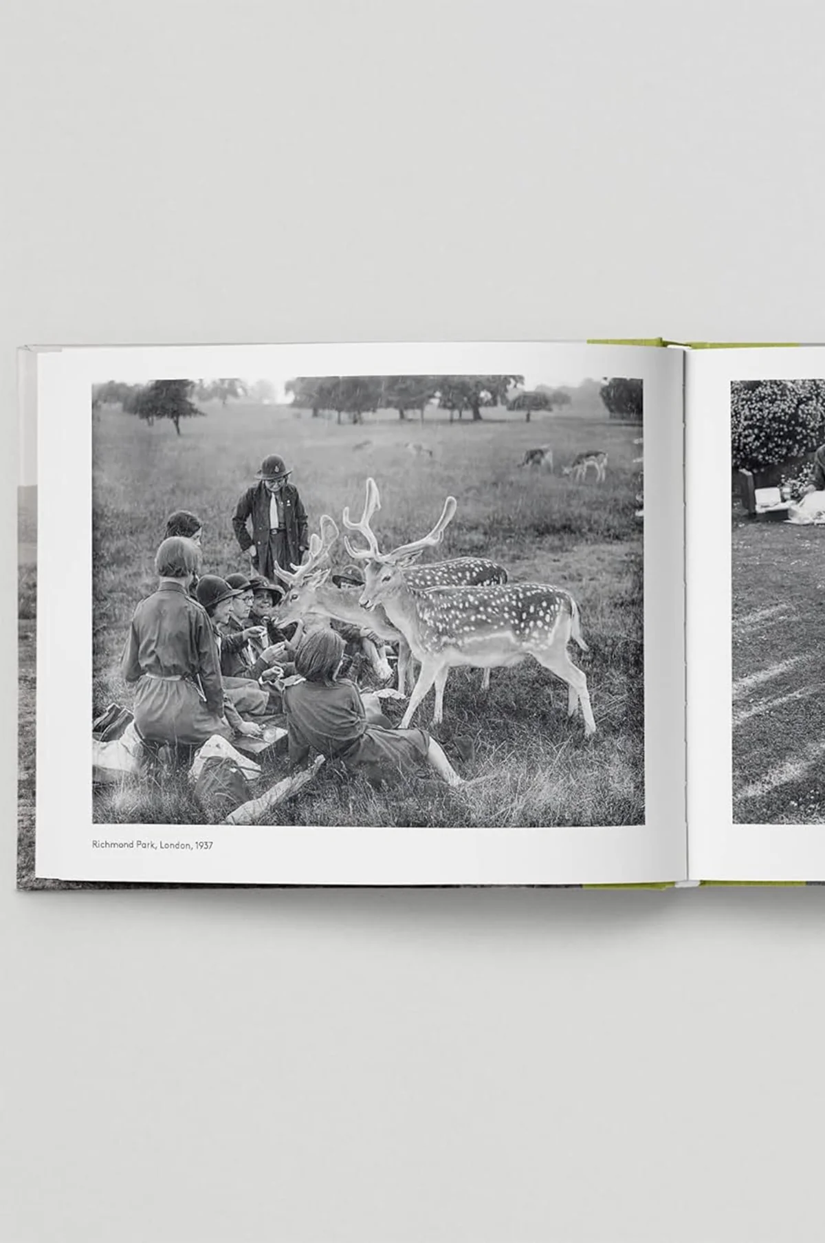 Very British Picnic - Image 4