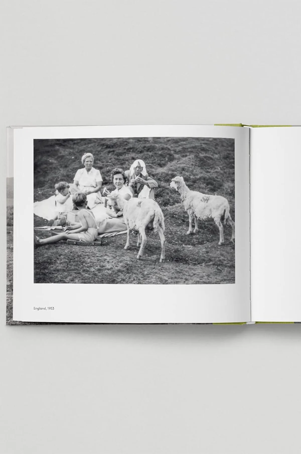 Very British Picnic - Image 6