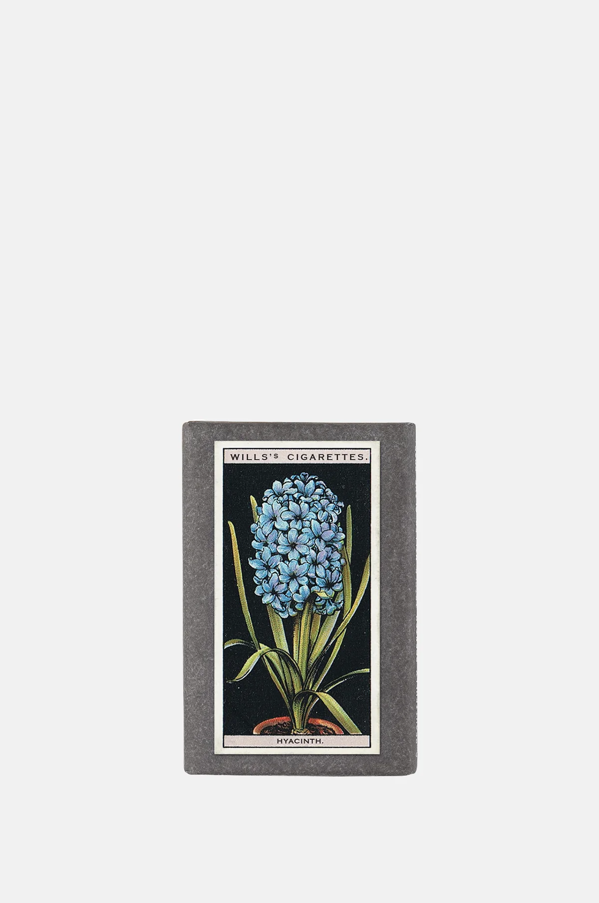 Vintage Pot Plants Label Soap Hyacinth