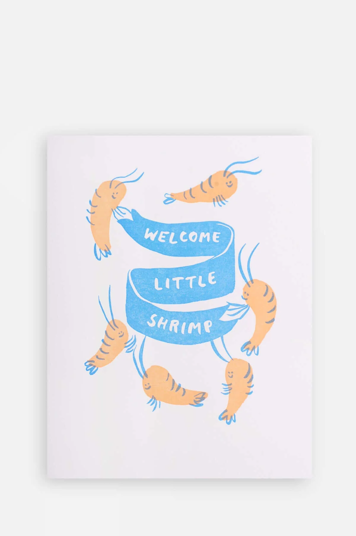 Welcome Little Shrimp