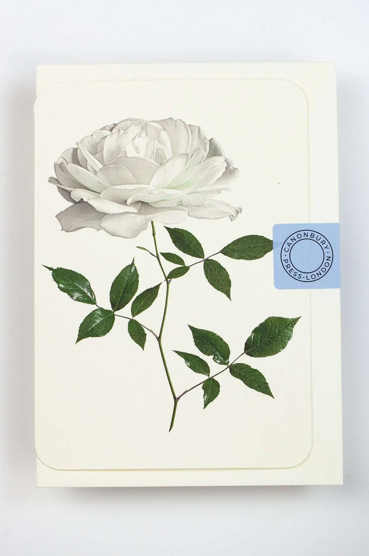 White Rose Notecard - Image 3