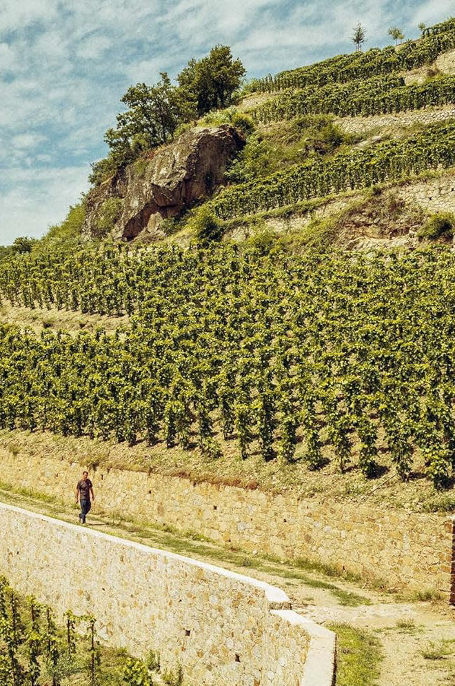 Who's Afraid Of Romanee Conti - Image 3