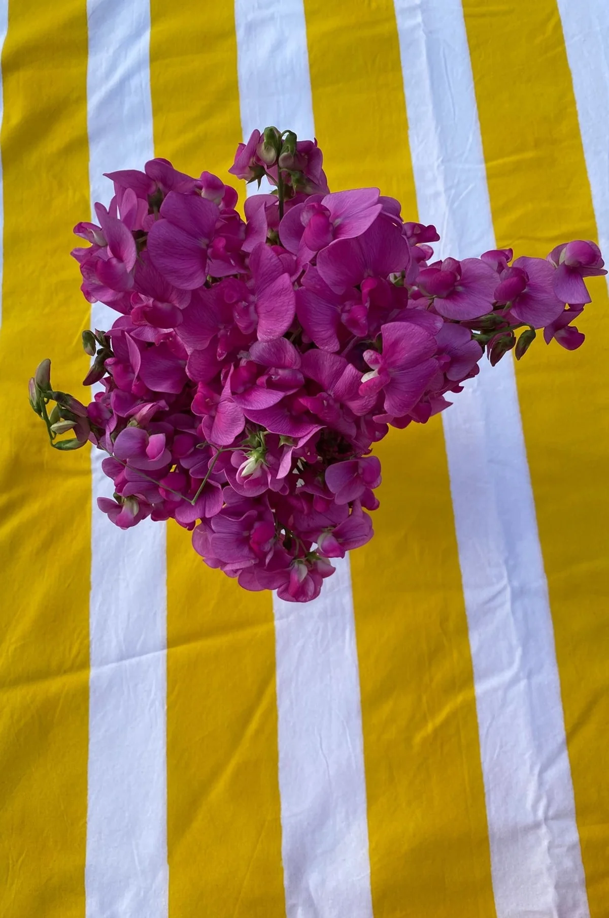 Yellow Stripe Tablecloth - Image 2